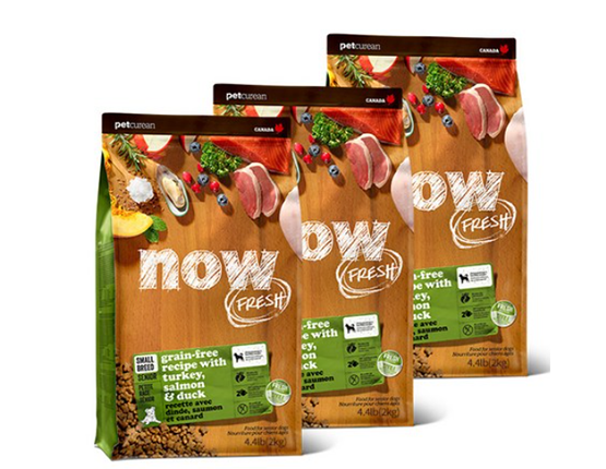 now 시니어 강아지 스몰브리드 건식사료