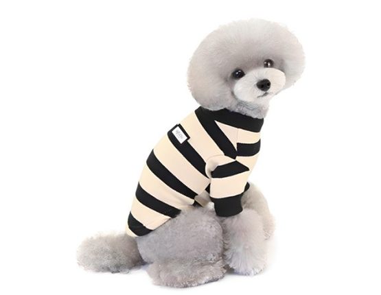 딩동펫 반려동물 스트라이프 티셔츠