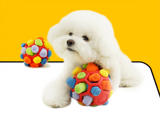 붐붐포 강아지 고슴도치 노즈워크 볼 장난감