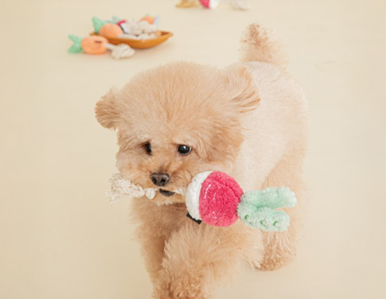 바잇미 강아지 뿌리채소 터그 장난감